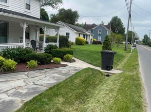 Sarah P.'s lawn service service result