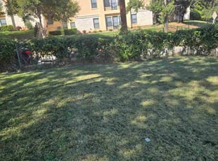 Doug M.'s grass maintenance service result