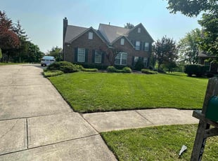 Marla B.'s grass maintenance service result