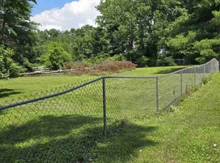 Donna B.'s grass cutting service result