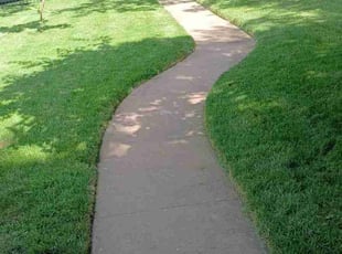 Brenda S.'s turf care service result