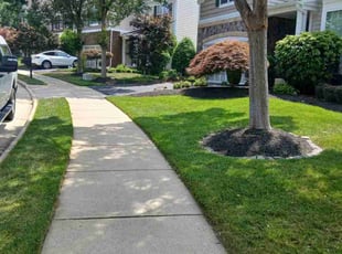 Joaquin A..'s yard care service result