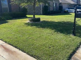 Roxanne S.'s lawn maintenance service result