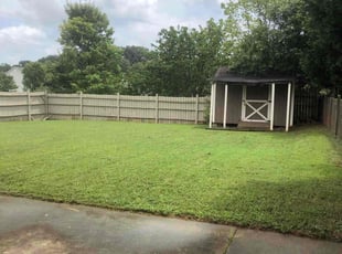 Titus R.'s lawn care service result