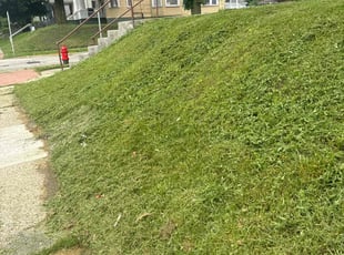 Scott M.'s grass maintenance service result