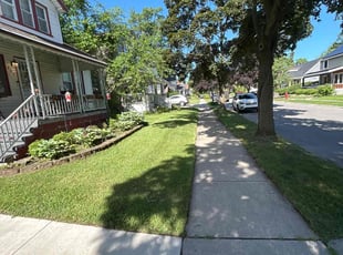 Farhan K.'s lawn care service result