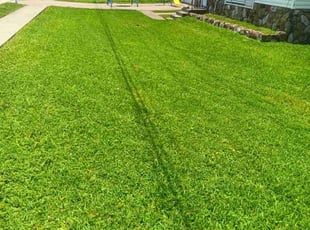 Jacky D.'s grass maintenance service result