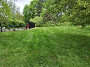 Ben M.'s grass cutting service result