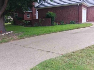 John A.'s turf care service result