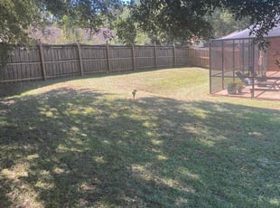 Ken P.'s lawn maintenance service result