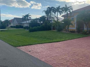 Carlos G.'s grass maintenance service result