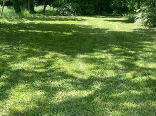 Qadeer S.'s grass cutting service result