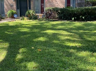 John B.'s lawn care service result