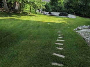 Amanda W.'s turf care service result