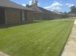 David R.'s grass cutting service result