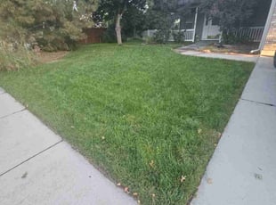 John S.'s lawn service service result