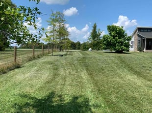 Arash T.'s lawn care service result