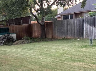 Damaso S.'s Bush Trimming service result