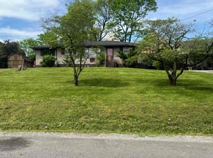 Jordan D.'s turf maintenance service result