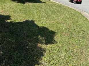 Joe B.'s lawn care service result