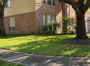 Diane B.'s lawn maintenance service result