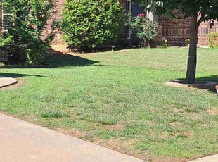 John Z.'s lawn care services service result