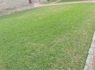 Dean H.'s lawn maintenance service result