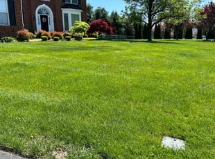 Barbara G.'s grass maintenance service result