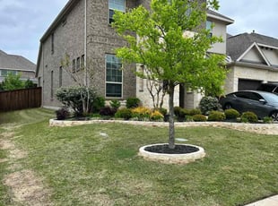 James K.'s turf care service result