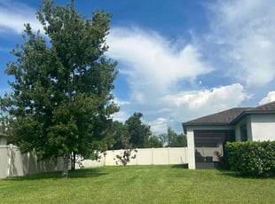 Jovanie V.'s grass cutting service result