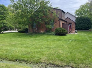 Brittney N.'s lawn care services service result