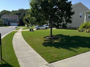 Sara G.'s landscaping services service result