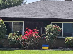 Susie L.'s Bush Trimming service result