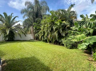 Jackie B.'s lawn maintenance service result