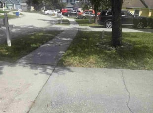 Jim D.'s lawn maintenance service result