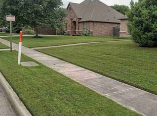 Sara E.'s lawn maintenance service result