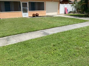 Emanuel D.'s turf care service result