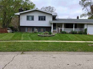 Laura N.'s turf care service result