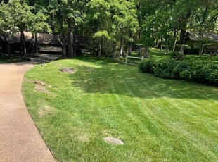 Anne M.'s turf maintenance service result