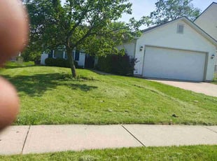 Carol O.'s turf care service result