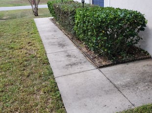 Tina C.'s Bush Trimming service result