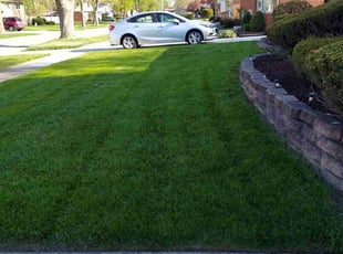 Karen A.'s turf maintenance service result