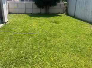 Veron W.'s grass cutting service result