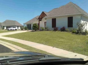 Daniel H.'s lawn care service result