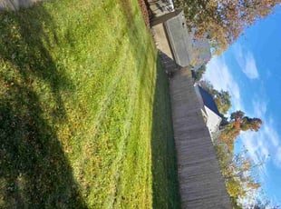 Enola W.'s lawn care service result