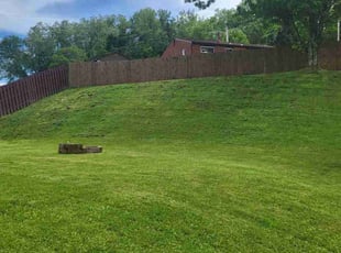 Nastasia A.'s turf care service result