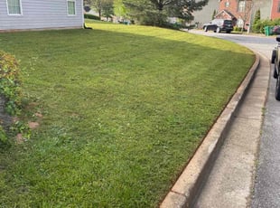 Gene W.'s lawn maintenance service result