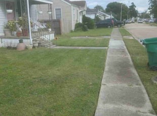 Sunghwahn K.'s lawn service service result