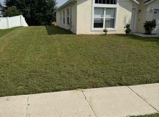 Aslin O.'s lawn care service result