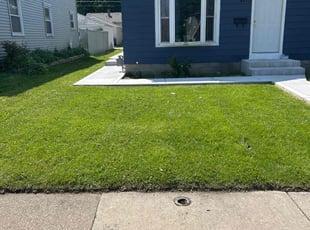 Becky B.'s turf maintenance service result